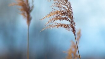 <3 Welcome to my Blog <3