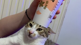 LOCOstories #22 I think don’t like my coffee ...