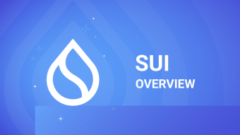 Sui (SUI) Token Overview