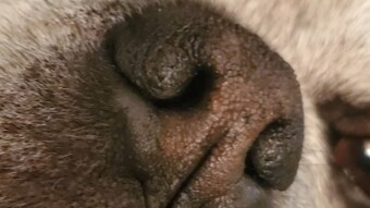 Remi - 12.19.2020