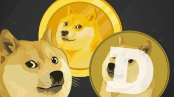 Best Dogecoin videos: I love Dogecoin!