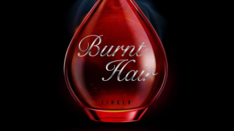 The Boring Company's Burnt Hair Fragrance Finally Ships