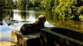 "Arkadia" romantic park