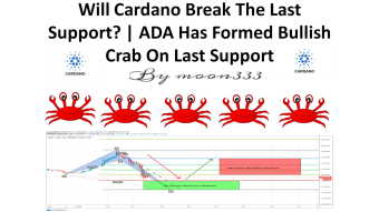 Will Cardano Break The Last Support? | ADA Has Formed Bullish Crab On Last Support