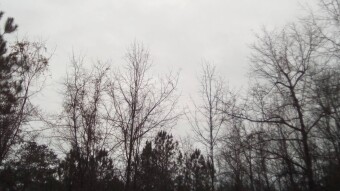 Apocalyptic Homesteading (Day 114-117)