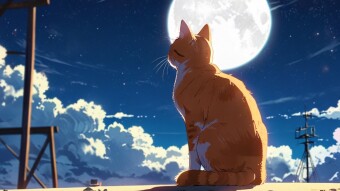 The Last Crypto Pump Before Recession?