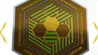 A crypto to save the planet