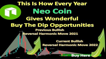 This Is How Every Year Neo Coin Gives Wonderful Buy The Dip Opportunities