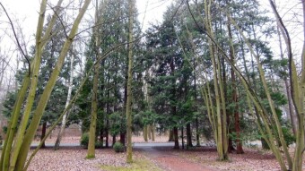 A similar day to yesterday, but there was a light drizzle - My Actifit Report Card: March 2 2024