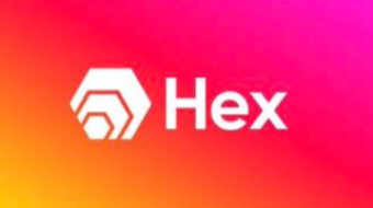 Exploring the Opportunities to Earn with HEX on Pulsechain