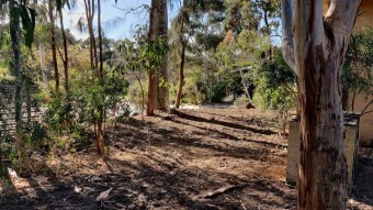 The Start of Our New Garden Era!