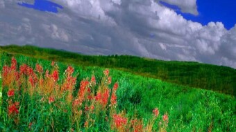 My "PHOTOSHOP" work Episode #40,Today Episode is making some beautiful landscape scenery with colour combination by photoshop.cs8