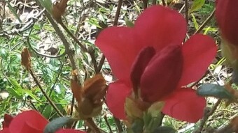 Beauty All Around