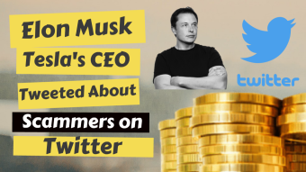 Elon Musk Tesla's CEO Tweeted about the Scammers on Twitter