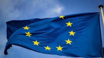 European Union Digital Laws VS Twitter