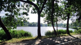 It's getting warmer and nicer, keep it up - My Actifit Report Card: June 18, 2025