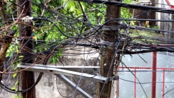 On Alternative Energies and The Grid in Sustainable Development