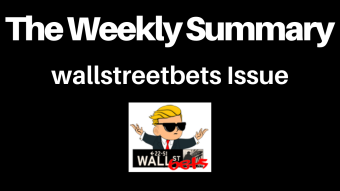 The Epic Battle Between wallstreetbets vs BIG Hedge Funds