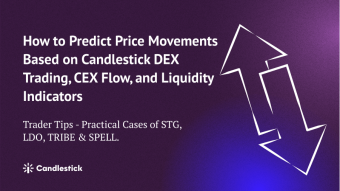 🎢 How to Predict Price Movements? - DEX Trading, CEX Flow, and Add/Remove Liquidity Indicators