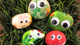 Pet Rocks