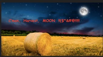 Freaking Harvest Finance - easy or hard to think with a giant yellow pyramid on one's head??