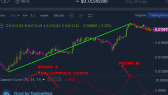 Trading cryptocurrency market using coppock curve indicator