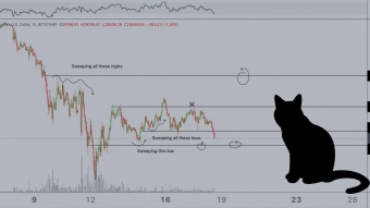 How Much Can You Earn By Trading?