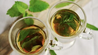 THE HEALING PROPERTIES OF PEPPERMINT (Mentha piperita)