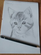 Kara Kalem- Kedi Çizimi/Black Pen - Cat Drawing