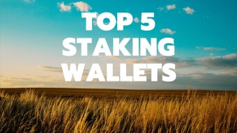 TOP 5 Staking Wallets To Grow Your Assets 2020