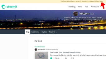 Steemit Is Back Online But…