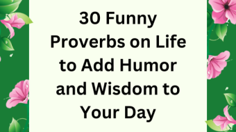 30 Funny Proverbs on Life to Add Humor and Wisdom to Your Day