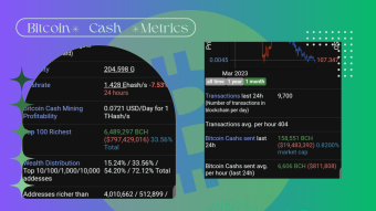 Bitcoin Cash Metrics at Your Fingertips: How Bitinfocharts Can Help