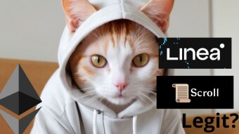 Hold Up! Is That New Crypto Project Legit Before You Click "Connect"?