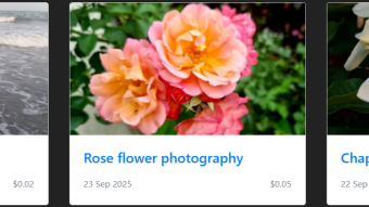 Photographies's gallery