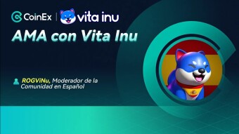 Resumen del AMA con Vita Inu