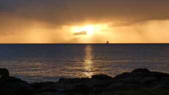 My journey through the Caribbean, Case Pilote Sleeping Wild