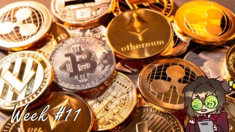 Hodling 11 shitcoins - week 11 - Thanking SHIB for the >x20 return