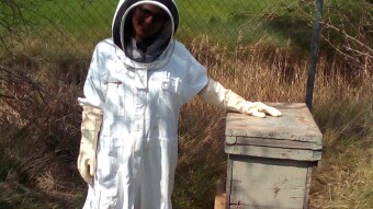 A hive at home: raw honey and other products