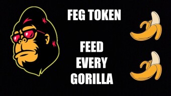 FEG Token the Next Gem Coin