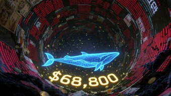 Buying the Blood: Why a Fear Index of 10 and $69K Bitcoin is the Ultimate "Smart Money" Entry