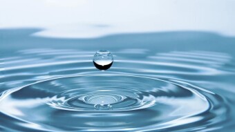 The Graduate (1967) - Water As Motif