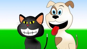 A Pet Version Of HAPPY BIRTHDAY Only Cats And Dogs Can Understand!