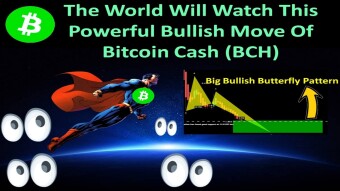 The World Will Watch This Powerful Bullish Move Of Bitcoin Cash (BCH)