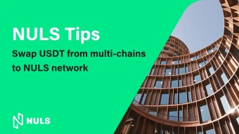 How to Swap USDT From Multi-chains to NULS Network