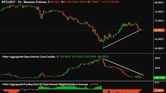 This Growth Is Not Strength, But Inertia. Here’s Why