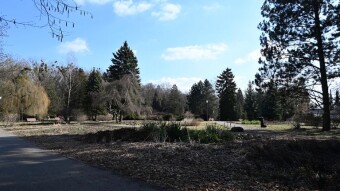 Tuesday is cooler again, but still spring-like - My Actifit Report Card: March 10, 2026