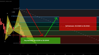 Reef has formed bullish Shark | Upto 51% move expected