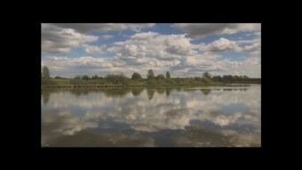 Sounds of Silence