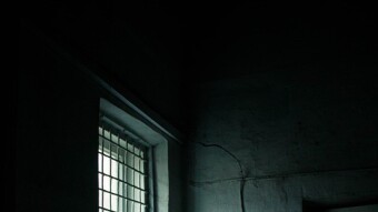 Il bibliotecario francese: cap. VIII parte seconda